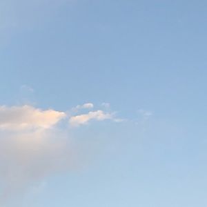 Meet your Posher, Rebeca